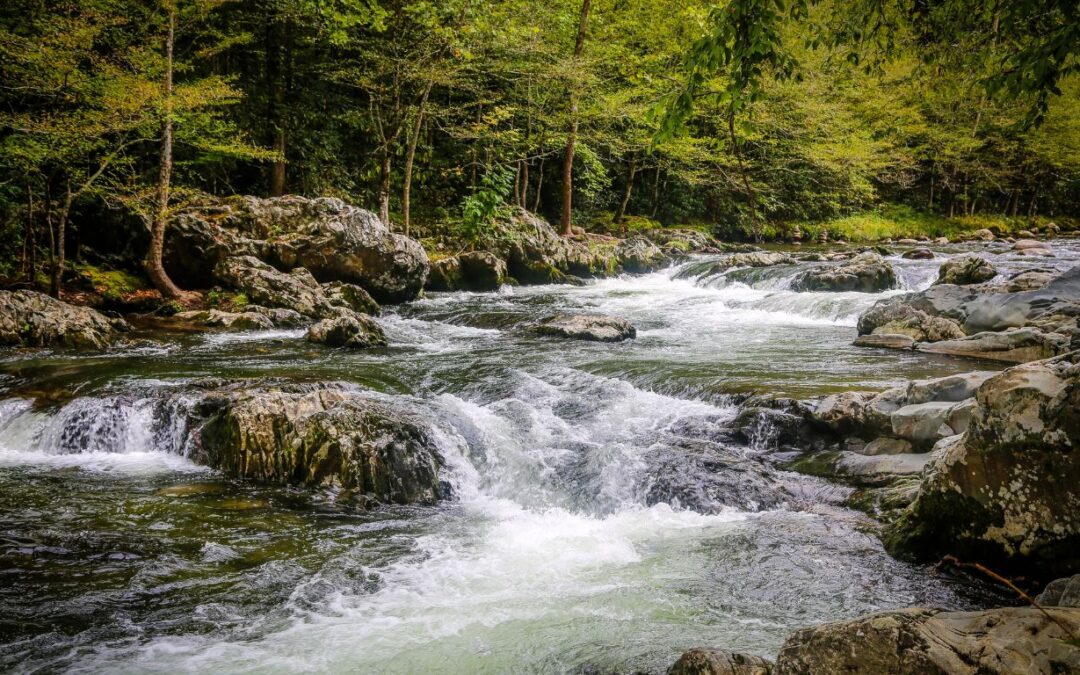 Free Things to do in the Smoky Mountains