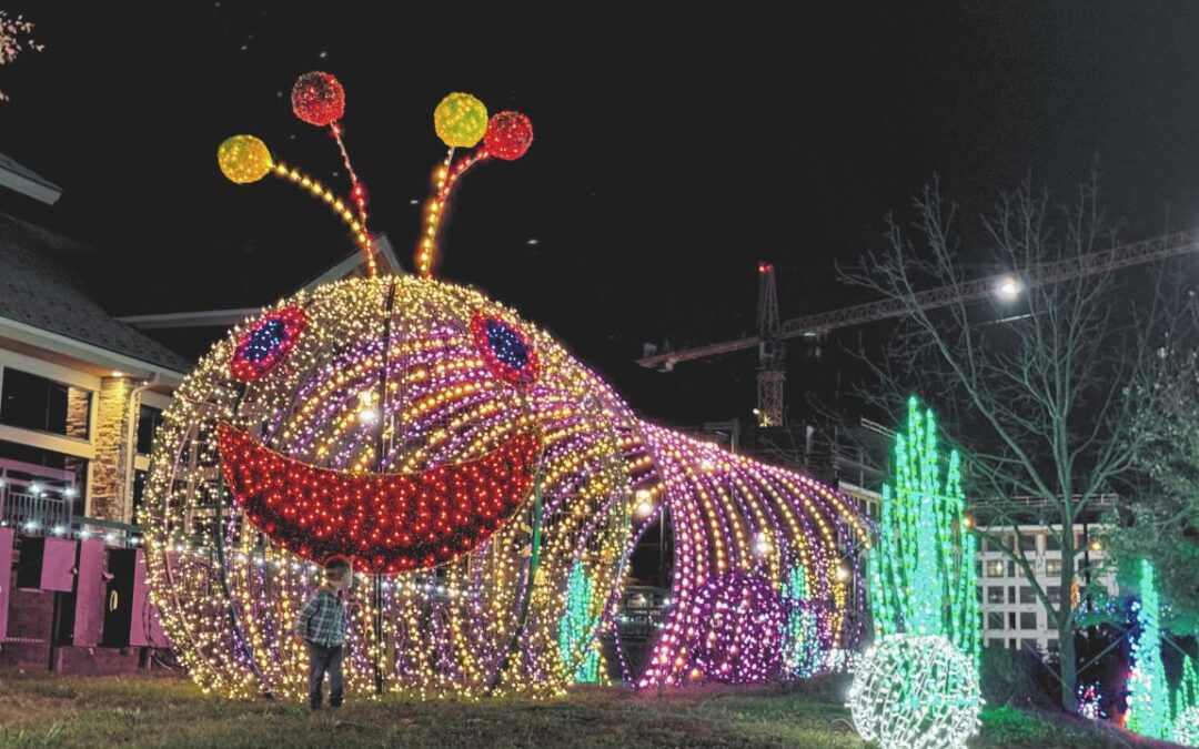 FREE Winterfest Wonders Of Light Walking Trail in Pigeon Forge Tennessee